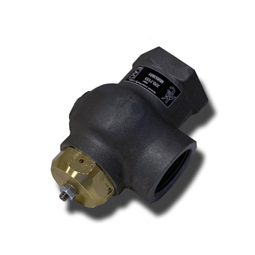 220.2334 Клапан минимального давления G46(PG-wl) 1 1/2"